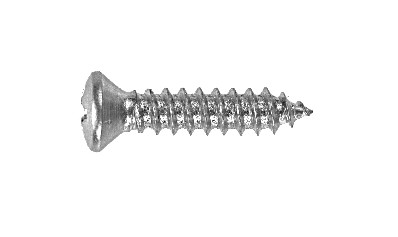 Chrome Phillips Oval Head Trim Screws